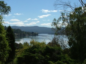 The view of the Tamar River from our deck