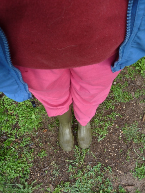 hot pink pants (great garden pans!) and very comfortable maroon sweatshirt